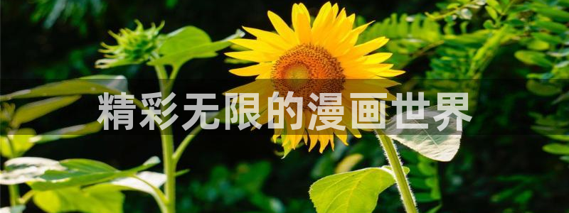 韩漫漫画动漫：精彩无限的漫画世界