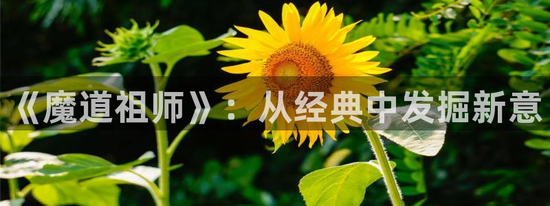 韩漫漫画app免费：《魔道祖师》：从经典中发掘新意
